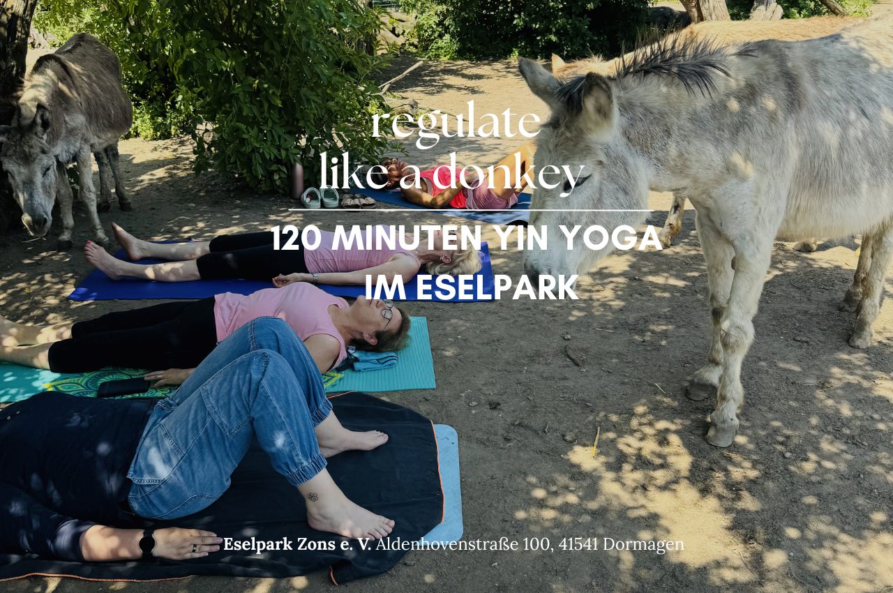 Yin Yoga auf dem Eselhof