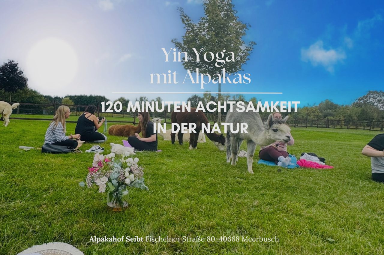 Yin Yoga mit Alpakas in der Natur
